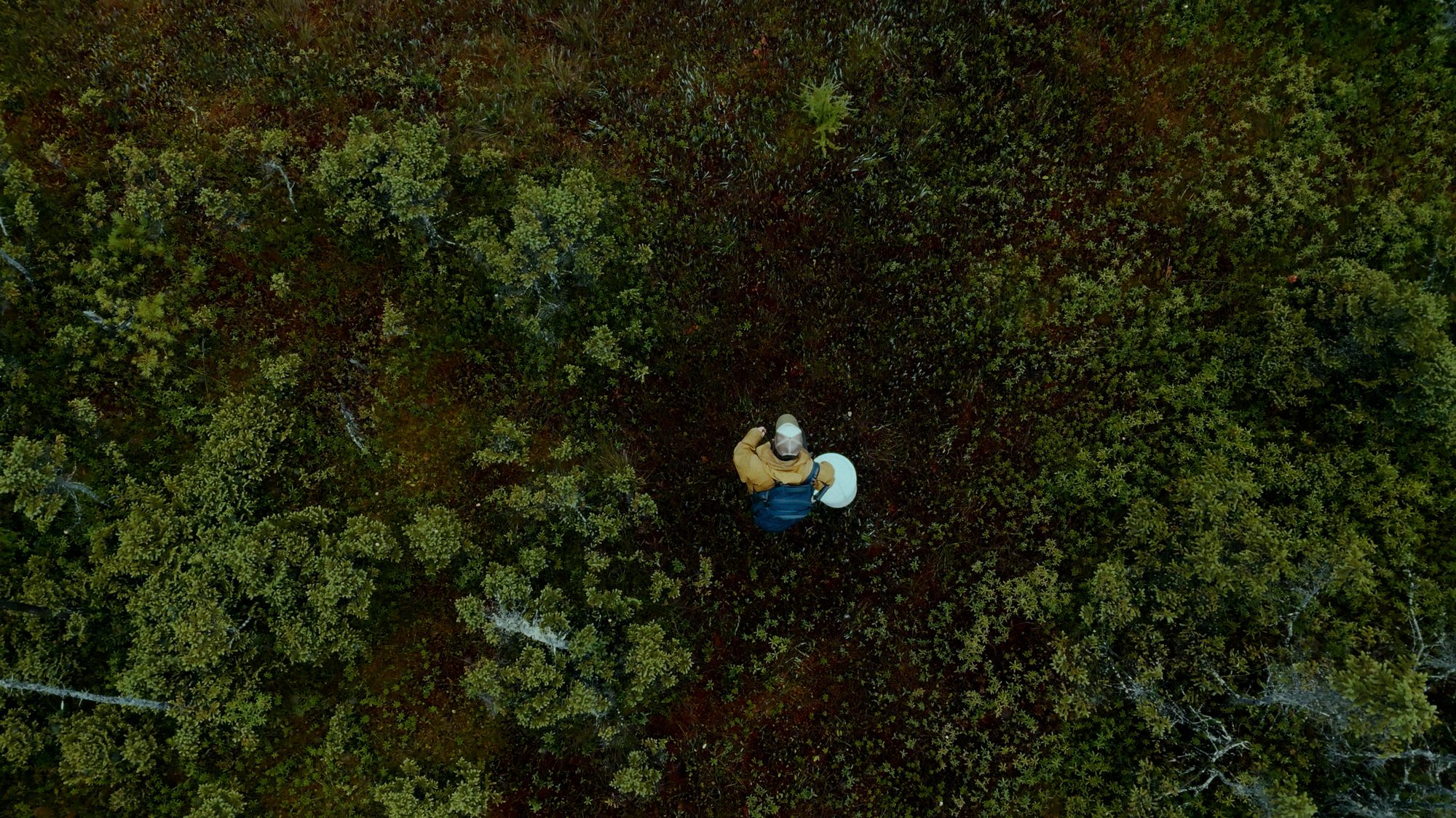 The Plant, image 6