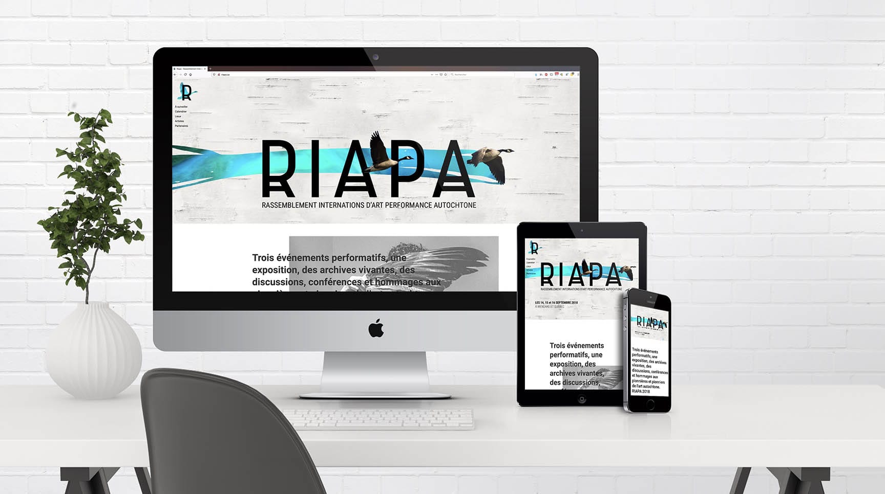 RIAPA site web - photo - depliants - reseaux sociaux - logo - identité